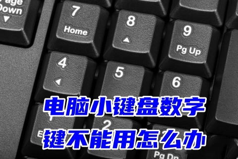 电脑小键盘数字键不能用怎么办 数字键打不出数字的解决方法