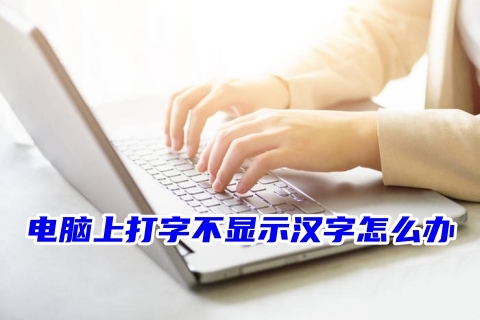 电脑上打字不显示汉字怎么办 电脑打不了字只有字母的解决方法
