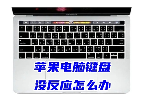 苹果电脑键盘没反应 苹果电脑键盘按键失灵的解决方法