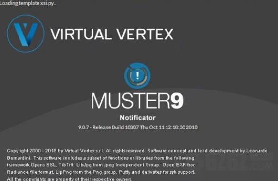 Virtual Vertex Muster
