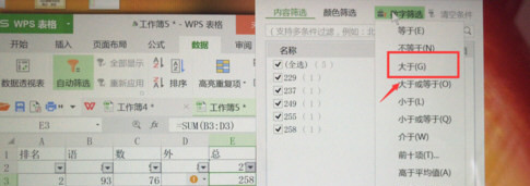 WPS Office 2013