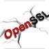 OpenSSL V3.0.0 中文版