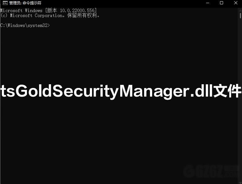 tsGoldSecurityManager.dll文件
