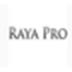 Raya pro(ps扩展面板插件) V2.0 官方版