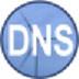 Simple DNS Plus（DNS服务器）V8.0.110 绿色版