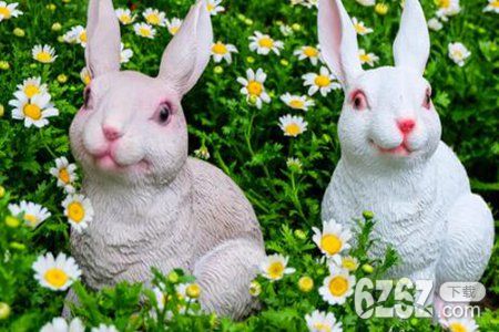 属兔人2022年运势运程每月运程，生肖兔感情事业健康运势